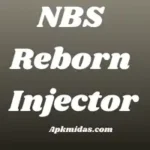 NBS Reborn Injector