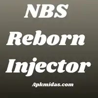 NBS Reborn Injector Download New Version 2026 1