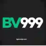 BV999 Game