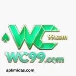 Wc99 game