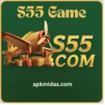 S55 game