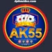 AK55 game